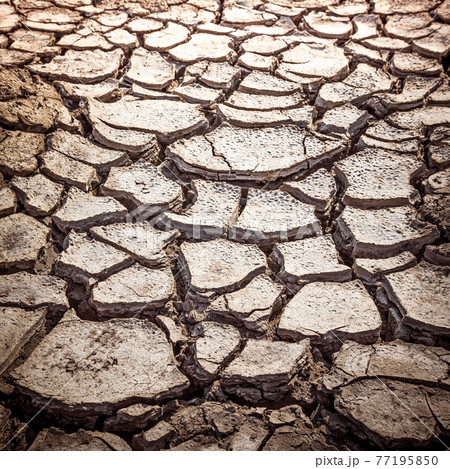 Cracked Soil Texture 77195850