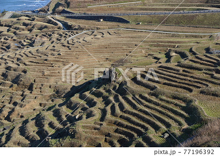 白米千枚田 77196392