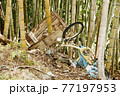 trash and abandoned bikes 77197953