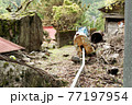 means of transport found in an abandoned town in Japan 77197954
