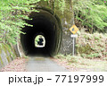 tunnel that brings to an abandoned town 77197999