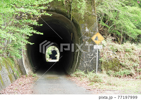 tunnel that brings to an abandoned town 77197999