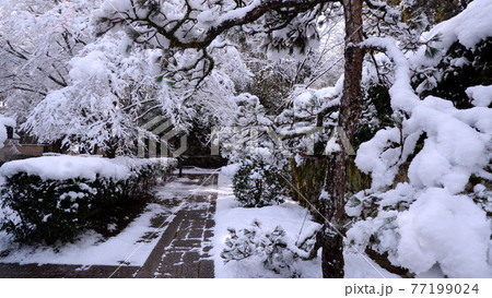 大津市 坂本 慈眼堂の雪景色 大津市 坂本 慈眼堂の雪景色 77199024