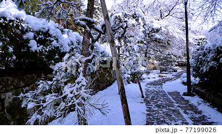 大津市　坂本　慈眼堂の雪景色 77199026