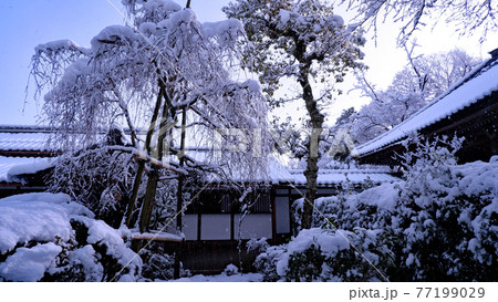 大津市 坂本 慈眼堂の雪景色 大津市 坂本 慈眼堂の雪景色 77199029