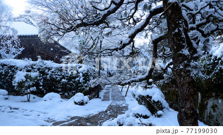 大津市　坂本　慈眼堂の雪景色 77199030