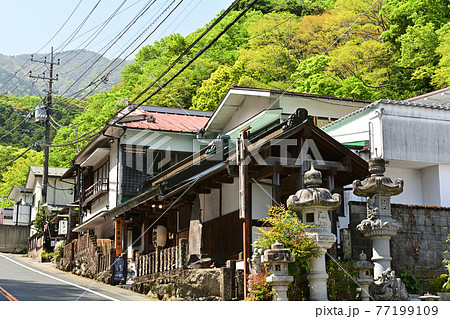 神奈川・大山 77199109