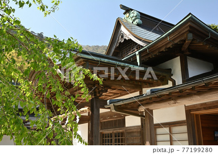 神奈川・大山 77199280