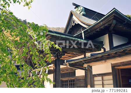 神奈川・大山 77199281