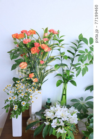 花のある暮らし 花のある暮らし 77199460