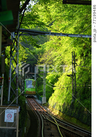 神奈川・大山 77199486