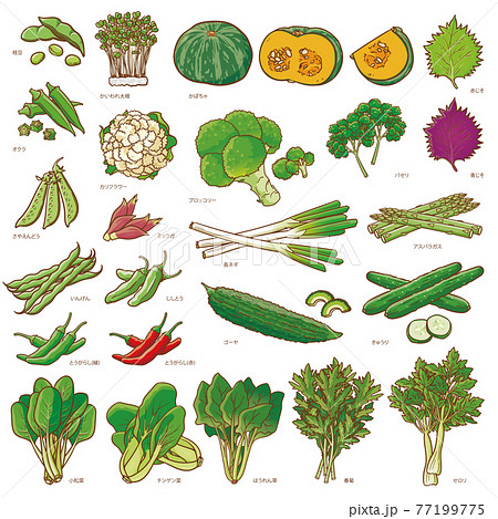 野菜セット1 77199775