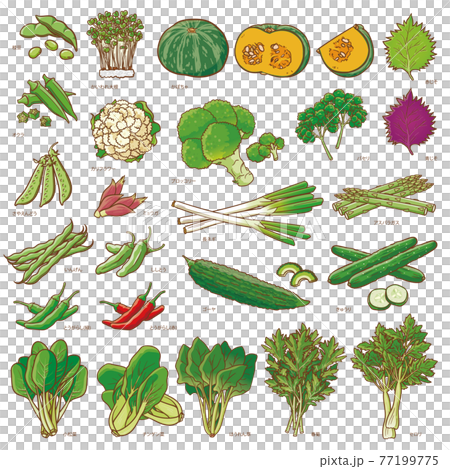 野菜セット1 77199775