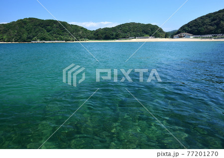 西海国立公園　カヤックから見る白浜海浜公園 77201270