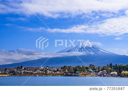 （山梨県）晴れた空と富士山・河口湖 77201687