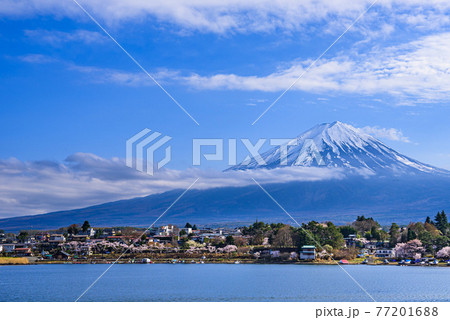(山梨県)快晴の空と富士山・河口湖 (山梨県)快晴の空と富士山・河口湖 77201688