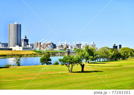 江戸川越しに金町駅周辺を望む(東京都葛飾区)【2020.10】 77202201