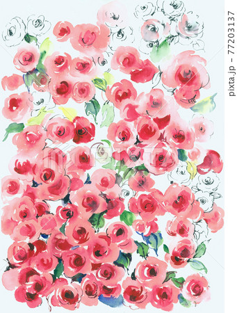 透明水彩 水彩画 花 77203137