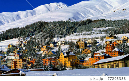 氷河特急 77203388