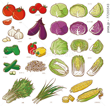 野菜セット2 77203543