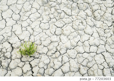 dry and cracked desert soil backgroiund 77203603