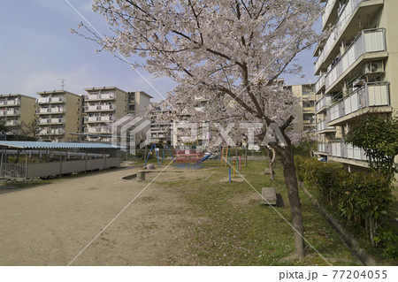 千里ニュータウン新千里北町 大阪府豊中市 の府営新千里北住宅の写真素材 77204055 Pixta
