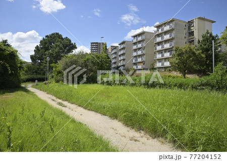 千里ニュータウン新千里北町（大阪府豊中市）の府営新千里北住宅 77204152