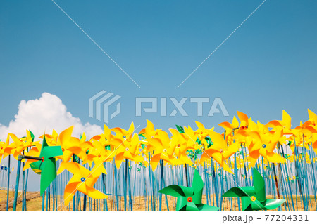 Colorful pinwheels at Imjingak Pyeonghoa-Nuri park in Paju, Korea Colorful pinwheels at Imjingak Pyeonghoa-Nuri park in Paju, Korea 77204331