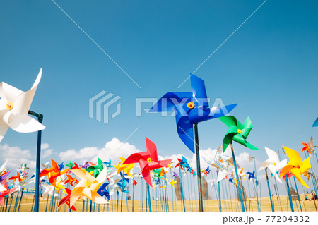 Colorful pinwheels at Imjingak Pyeonghoa-Nuri park in Paju, Korea Colorful pinwheels at Imjingak Pyeonghoa-Nuri park in Paju, Korea 77204332