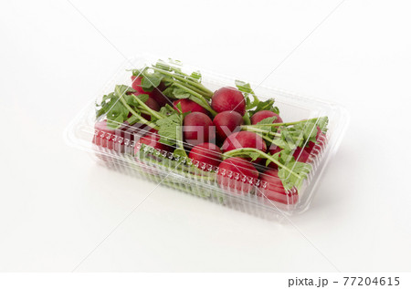 二十日大根 77204615