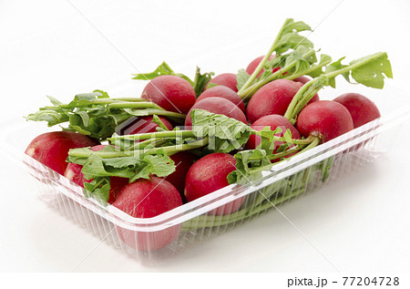 二十日大根 77204728