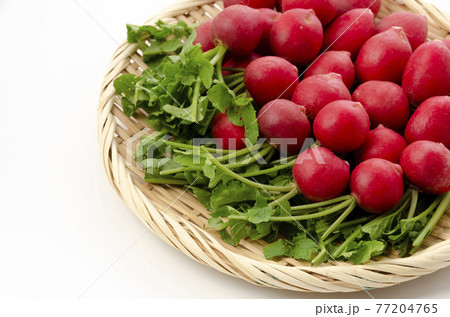 二十日大根 77204765