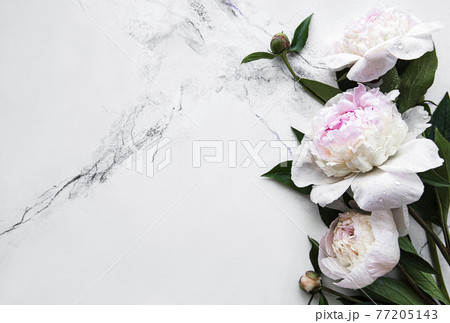 Peony flowers on a marble background 77205143