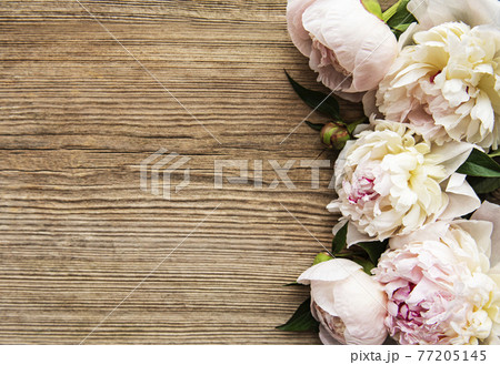 Pink peony flowers as a border 77205145