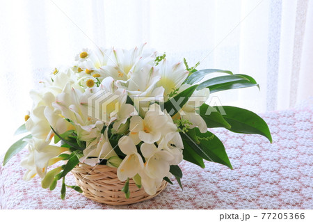 白い花のアレンジ 白い花のアレンジ 77205366