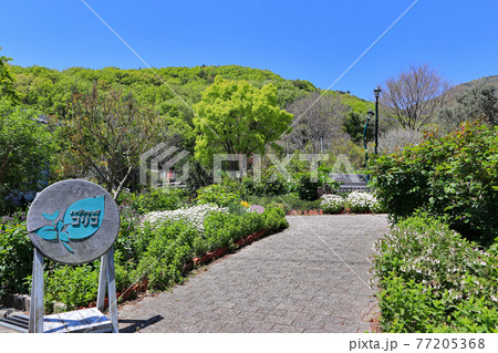 小豆島 【魔女の宅急便】のカフェ【コリコ】 小豆島 【魔女の宅急便】のカフェ【コリコ】 77205368