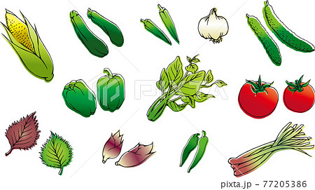 夏野菜 77205386