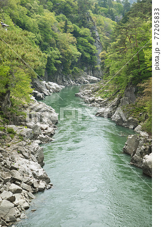 新緑の天竜峡 新緑の天竜峡 77205833