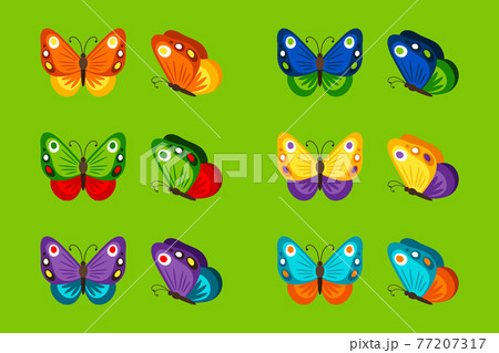 Colorful butterflies icons 77207317
