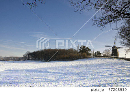 Windmill in a snowcovered landscape near Ubachsberg 77208959