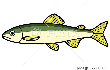 アユ アユ 77210475