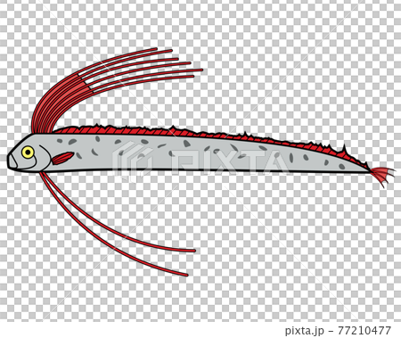 リュウグウノツカイ 77210477