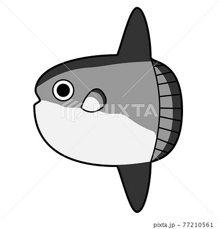 マンボウのイラスト素材 77210561 Pixta
