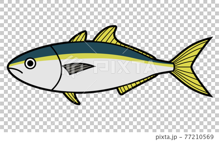 黃尾魚 黃尾魚 77210569