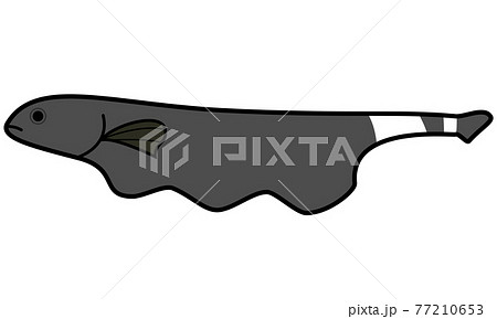 ブラックゴーストのイラスト素材