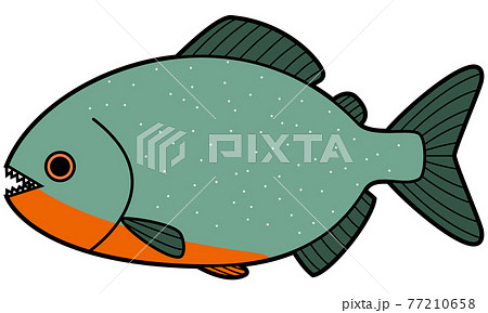 ピラニアのイラスト素材 ピラニアのイラスト素材