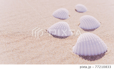 Shell sea with seashells, shells on sand tropical ocean beach. Copy space of summer vacation and business travel concept. Shell sea with seashells, shells on sand tropical ocean beach. Copy space of summer vacation and business travel concept. 77210833
