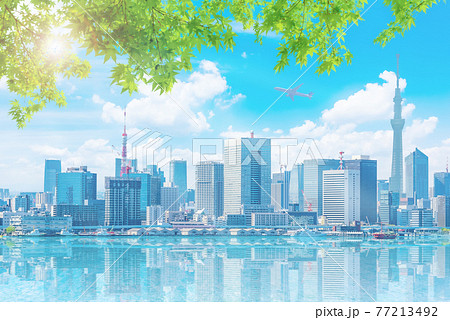 東京の都市風景 77213492