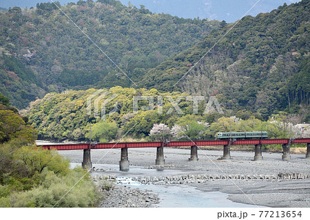 大井川鐵道沿線の旅 春の大井川第一橋梁 大井川鐵道沿線の旅 春の大井川第一橋梁 77213654