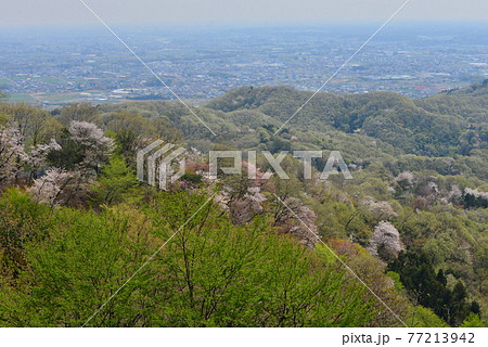 深谷市の鐘撞堂山　Mt. Kanetukido   in  Fukaya 77213942